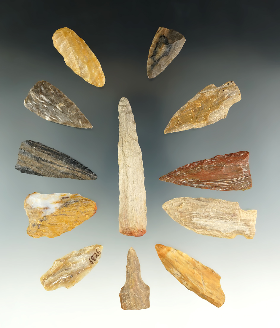 Group of 12 petrified wood knives and points found in Texas, largest is 3 3/8".