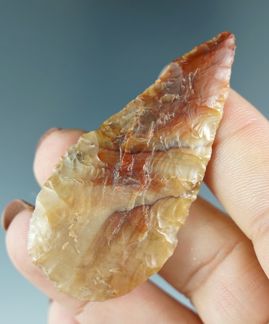 2 5/16" Cascade Knife form made from beautiful agatized wood.  Columbia River, Oregon.