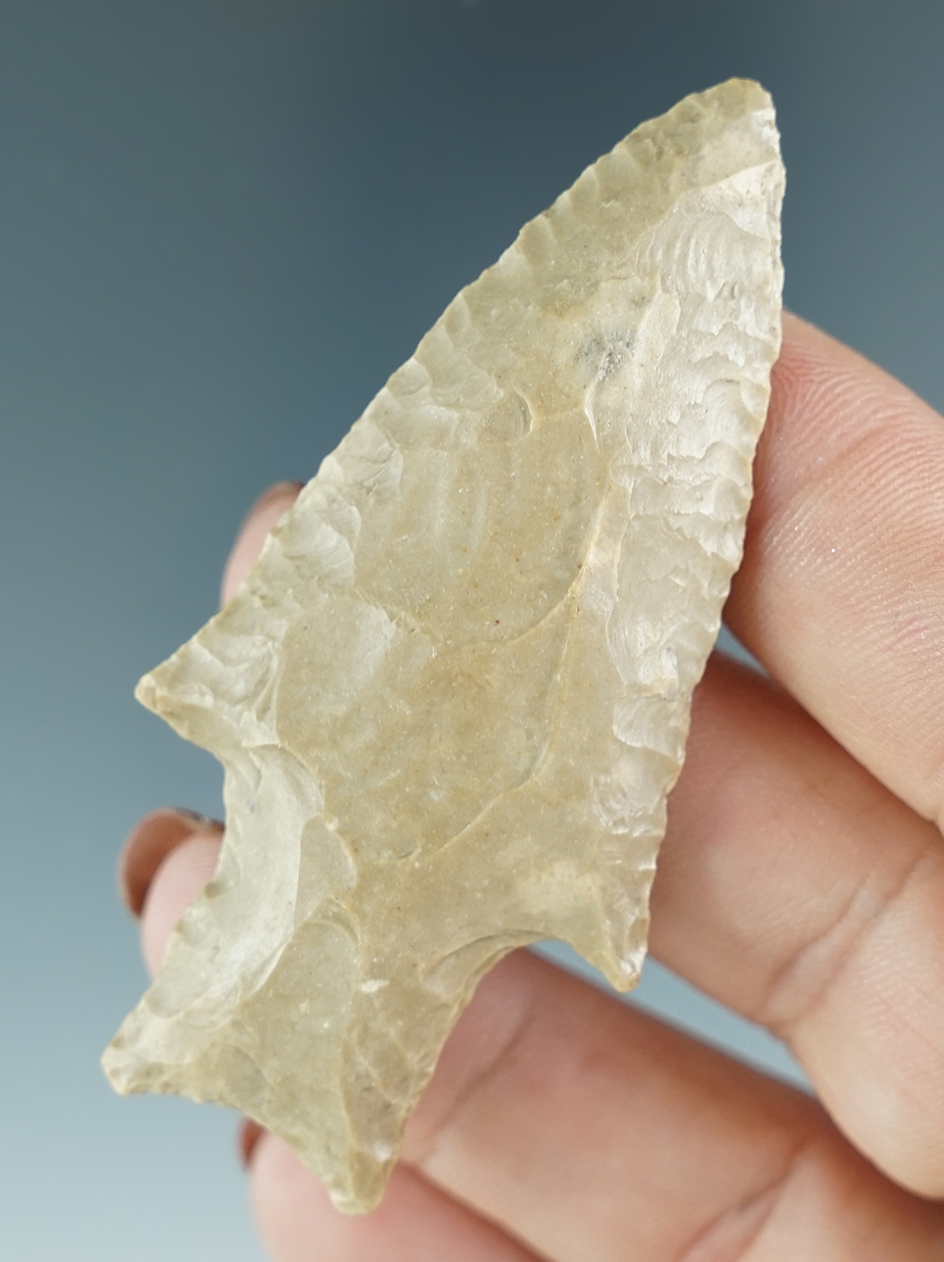 2 5/8" Comanche Pedernales that is very nicely flaked. Found in Texas. Ex. Jim Hogue.