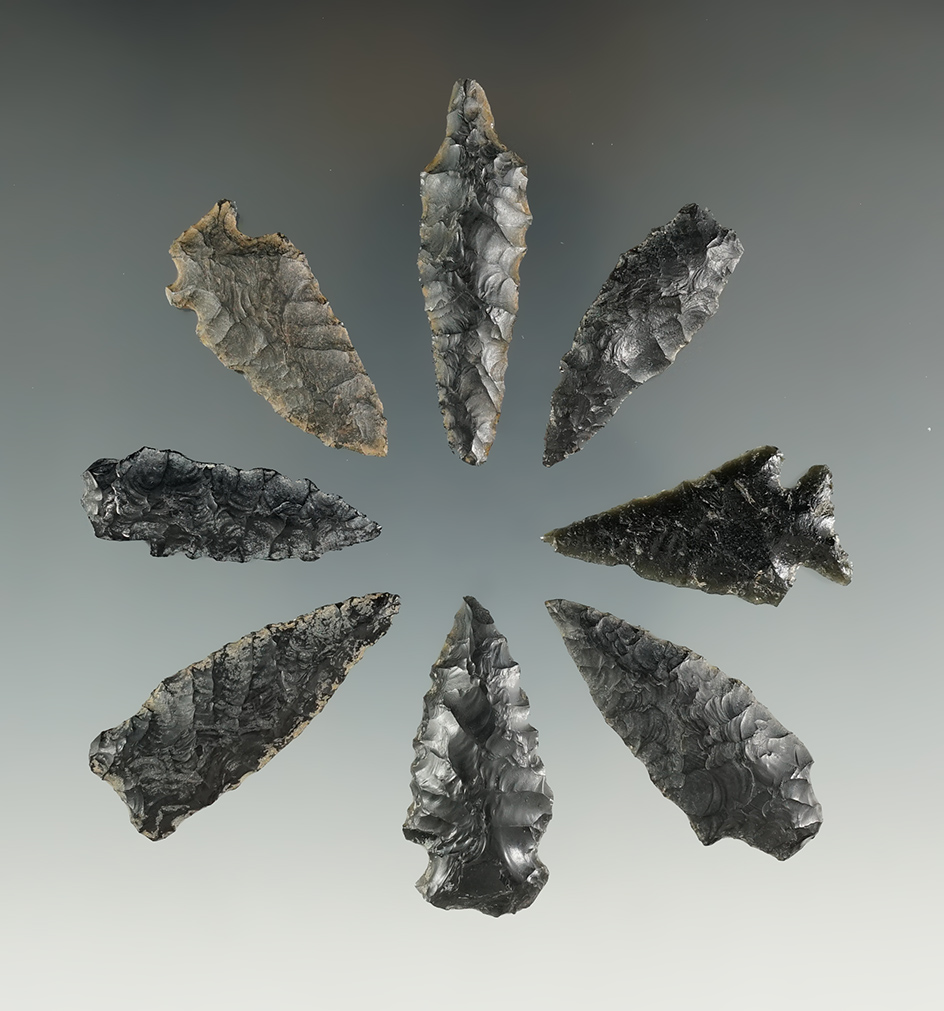 Set of eight assorted Obsidian Points found in Oregon. Largest is 1 9/16".