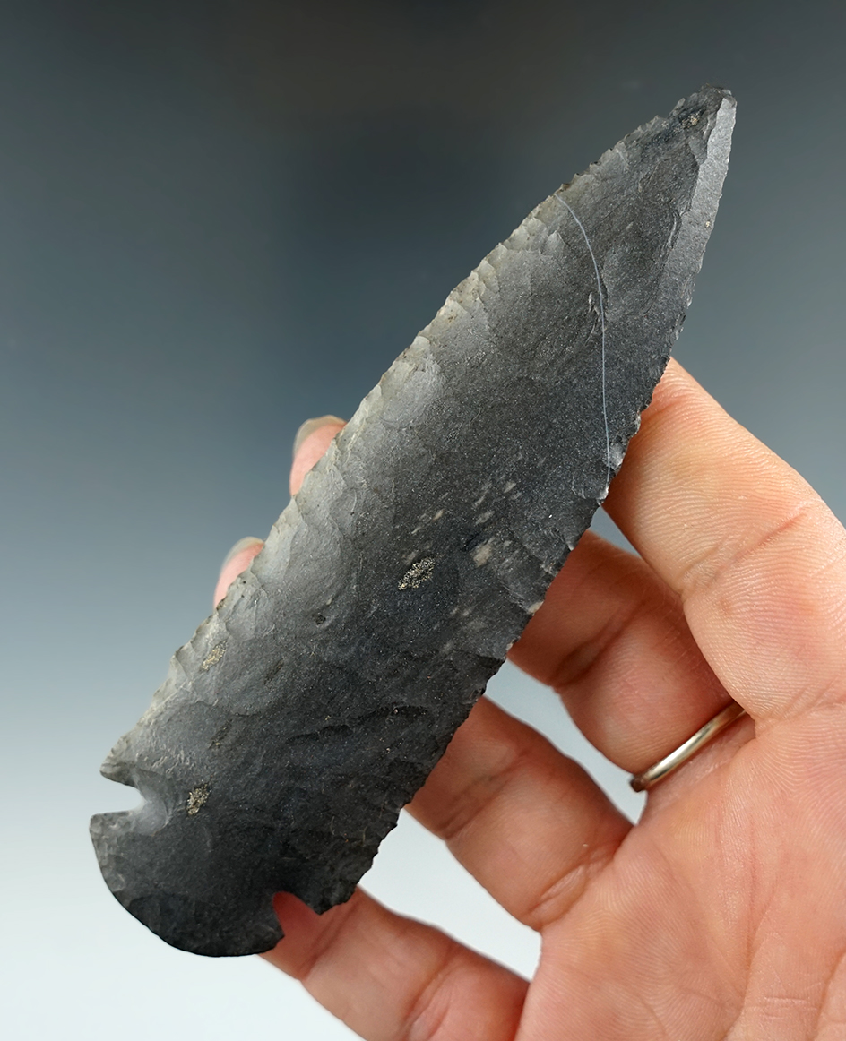 4 1/2" Dovetail. Hancock Co., Illinois near Nauvoo. Comes with a Davis COA.