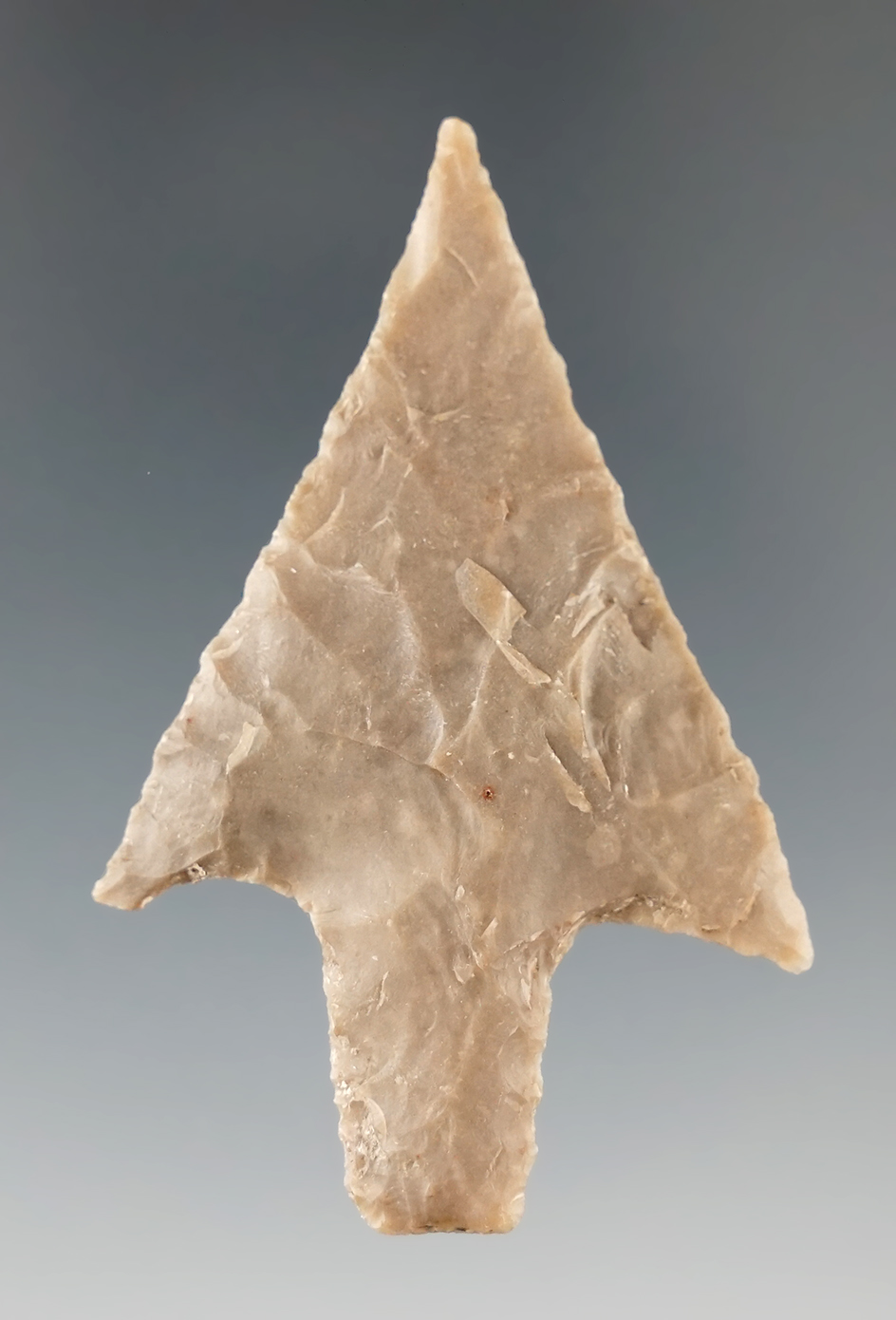 2 5/16" Langtry point with excellent style found in Bandura Co., Texas.