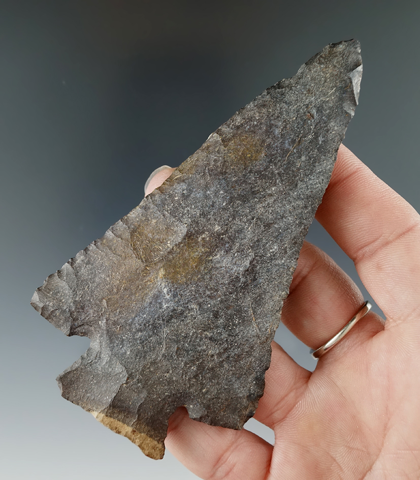 Large! 4 1/2" Decatur found in southern Illinois with excellent clipped-wing  style. Motley  COA.