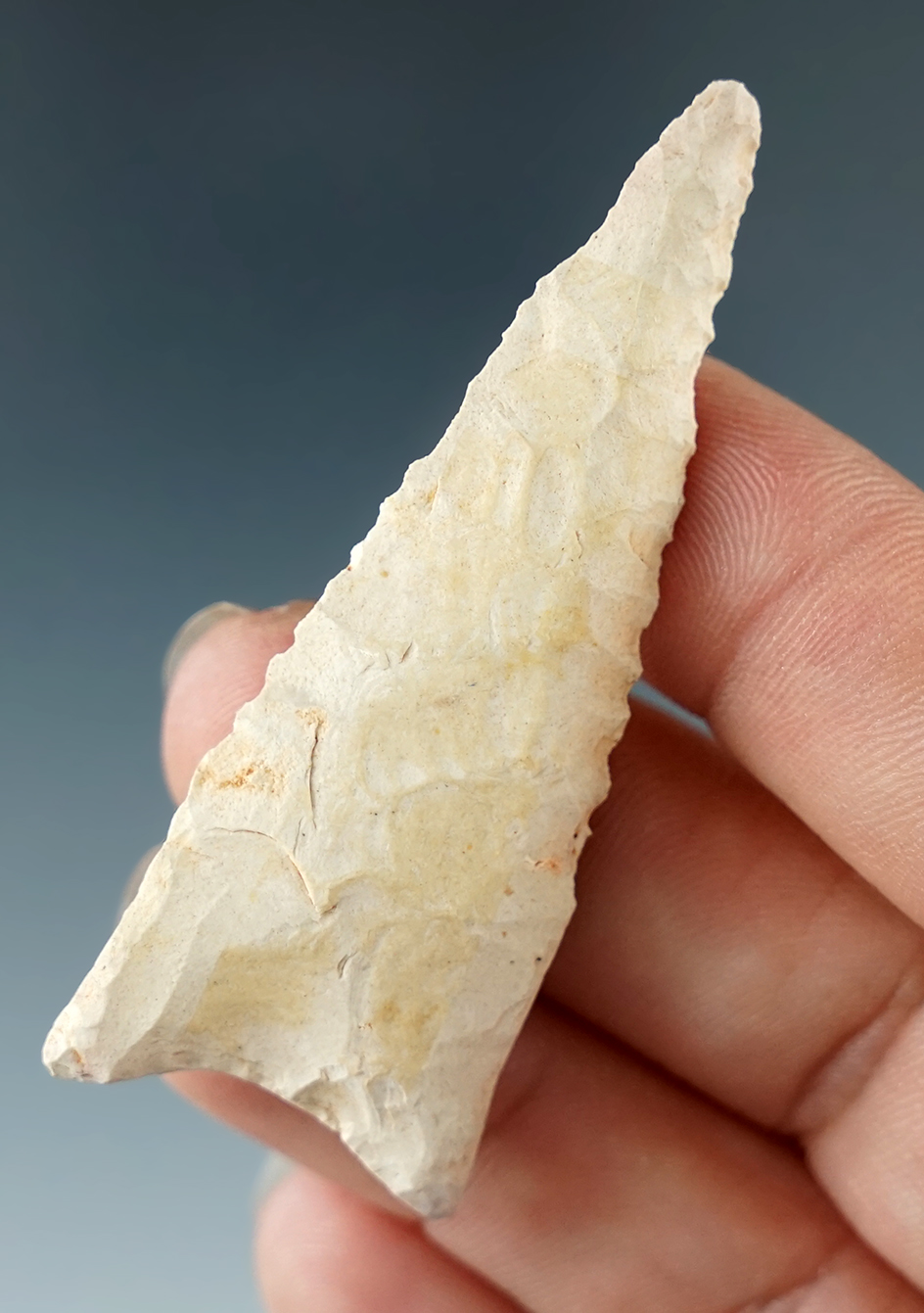 2 3/8" Dalton found by Harry Gaines in the 1950s, Grayson Co., Texas. Comes with a Rogers COA.