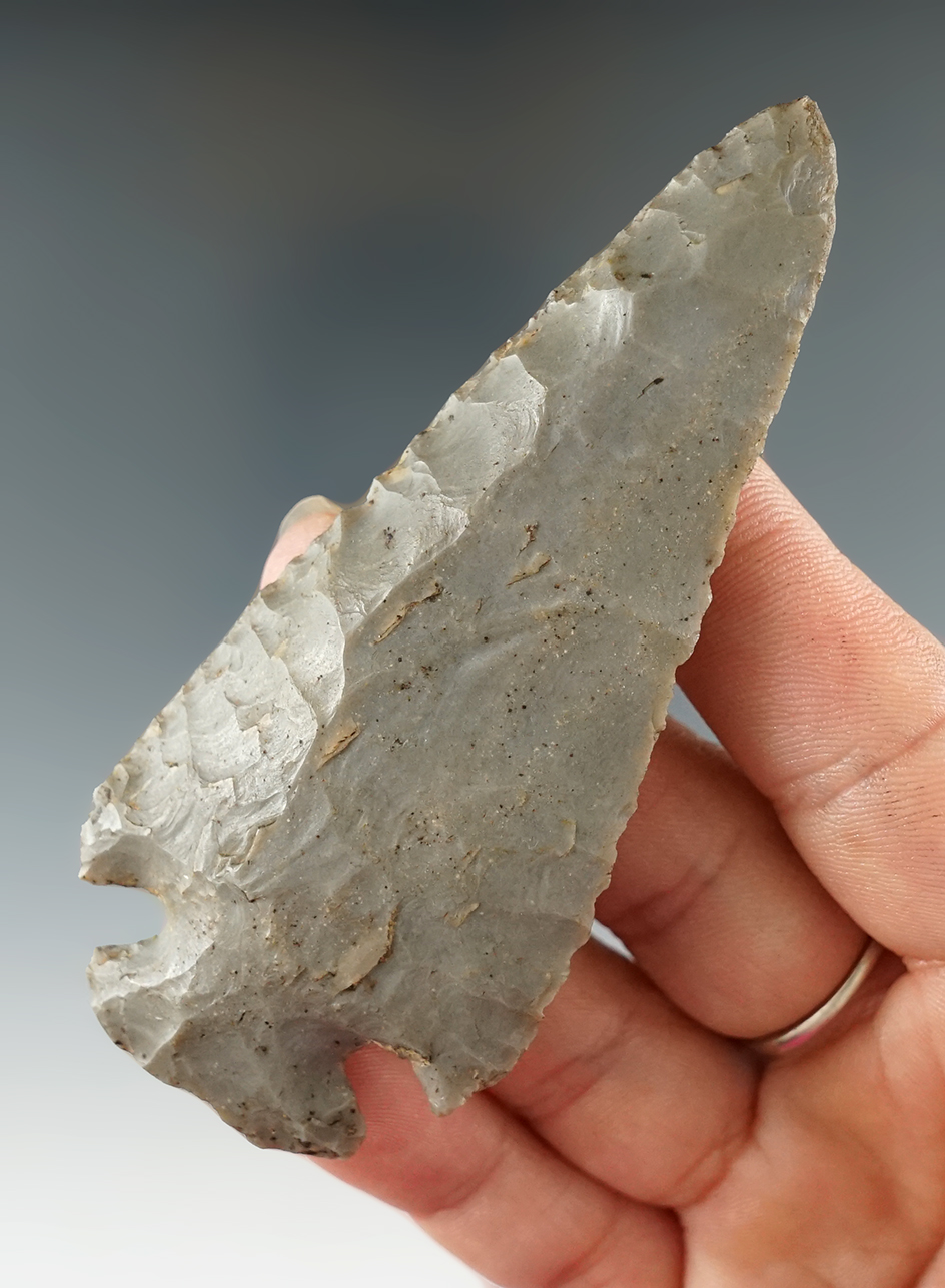 3 5/8" Hornstone Dovetail found by Ethan Allen in Greene Co., Indiana.  Jackson COA.