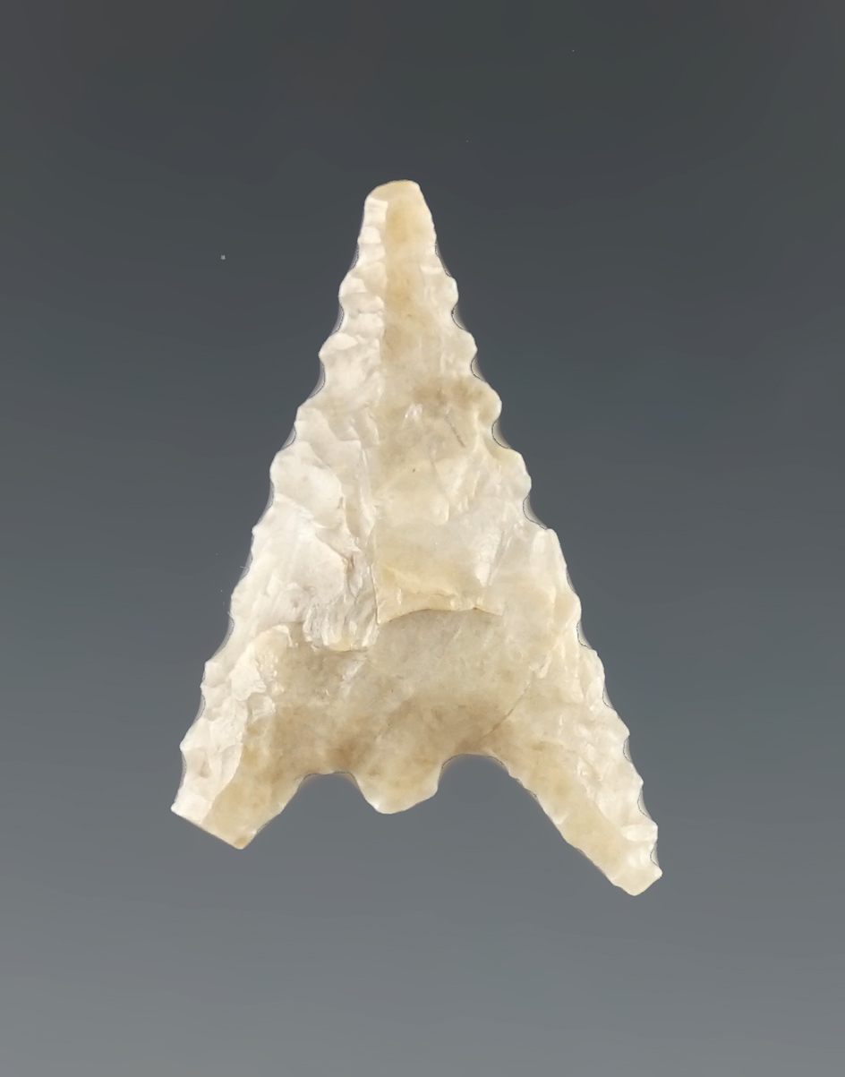 1" Gunther with nice edge serrations found in southern Oregon.