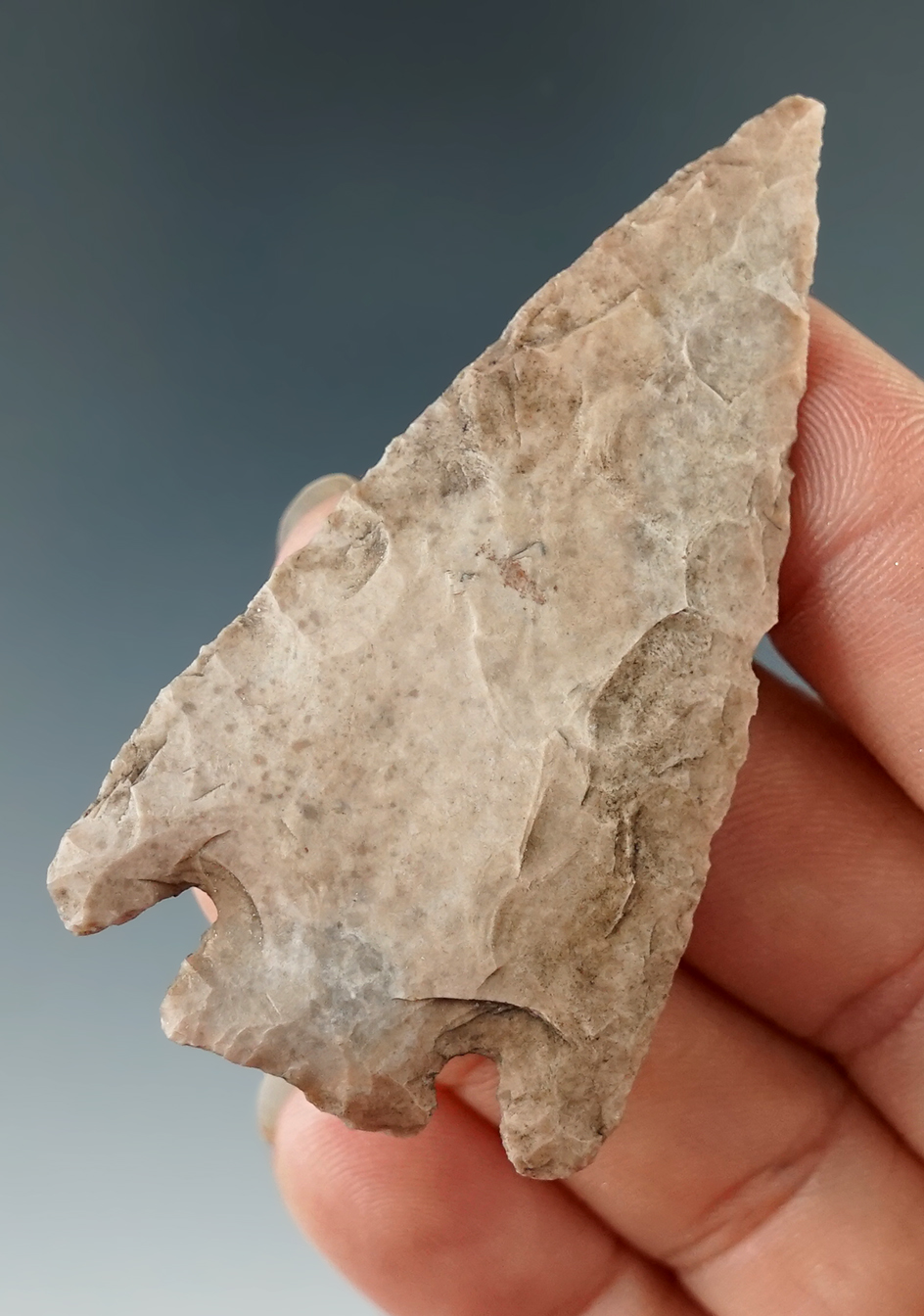 2 7/16" Marshall point found near Montell, Texas. Ex. Henry Sibley. Comes with a Perino COA.