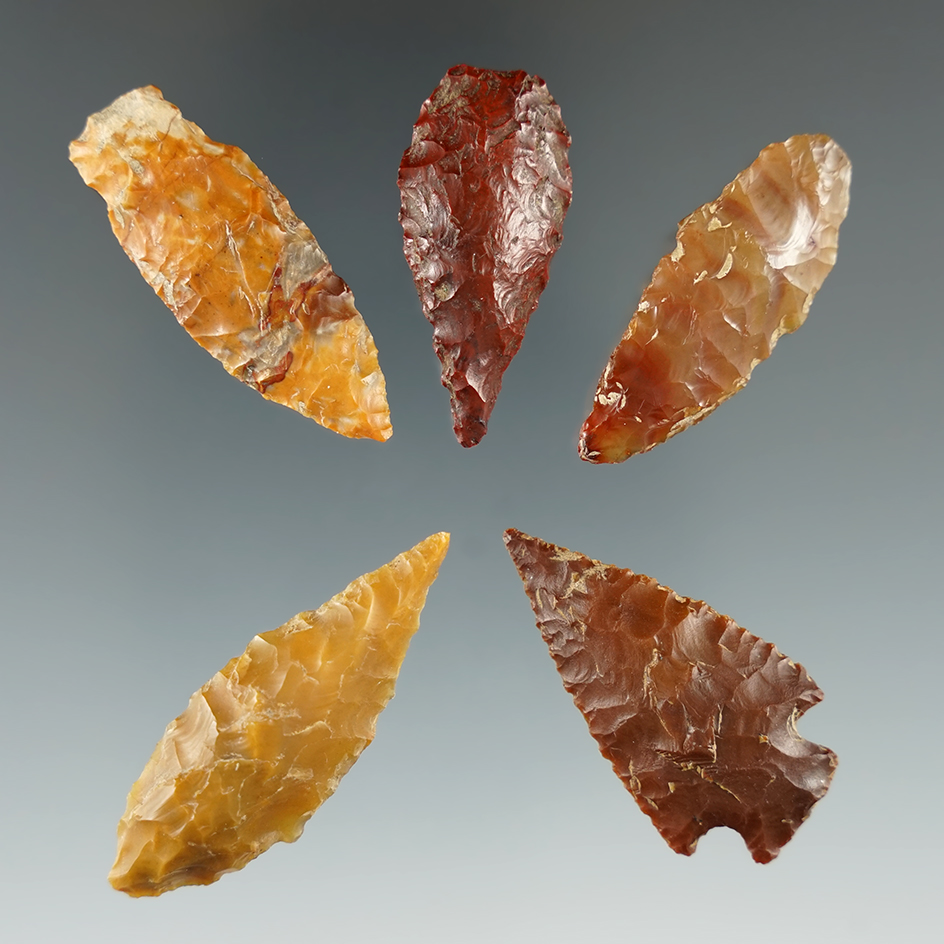 Set of five Columbia River arrowheads made from attractive material, largest is 1 1/2".