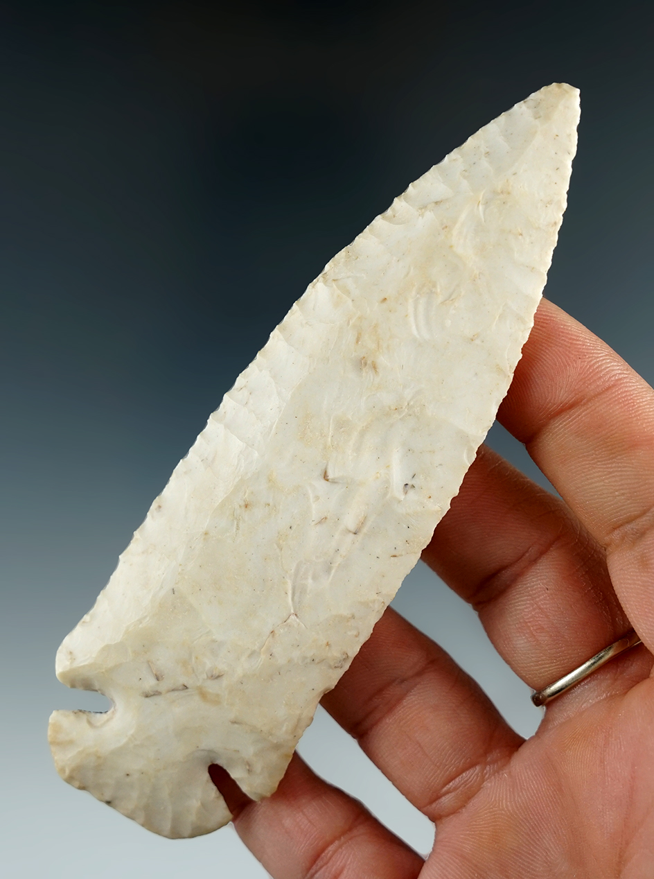 Nice! 4 7/16" Burlington Chert Dovetail. Hanover, Jo Davies Co., Illinois. Comes with a Perino COA.