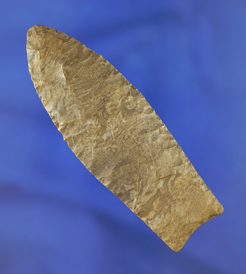 3 3/8" Paleo Clovis made from Dover Chert, found in Kentucky. Comes with a Bennett COA.