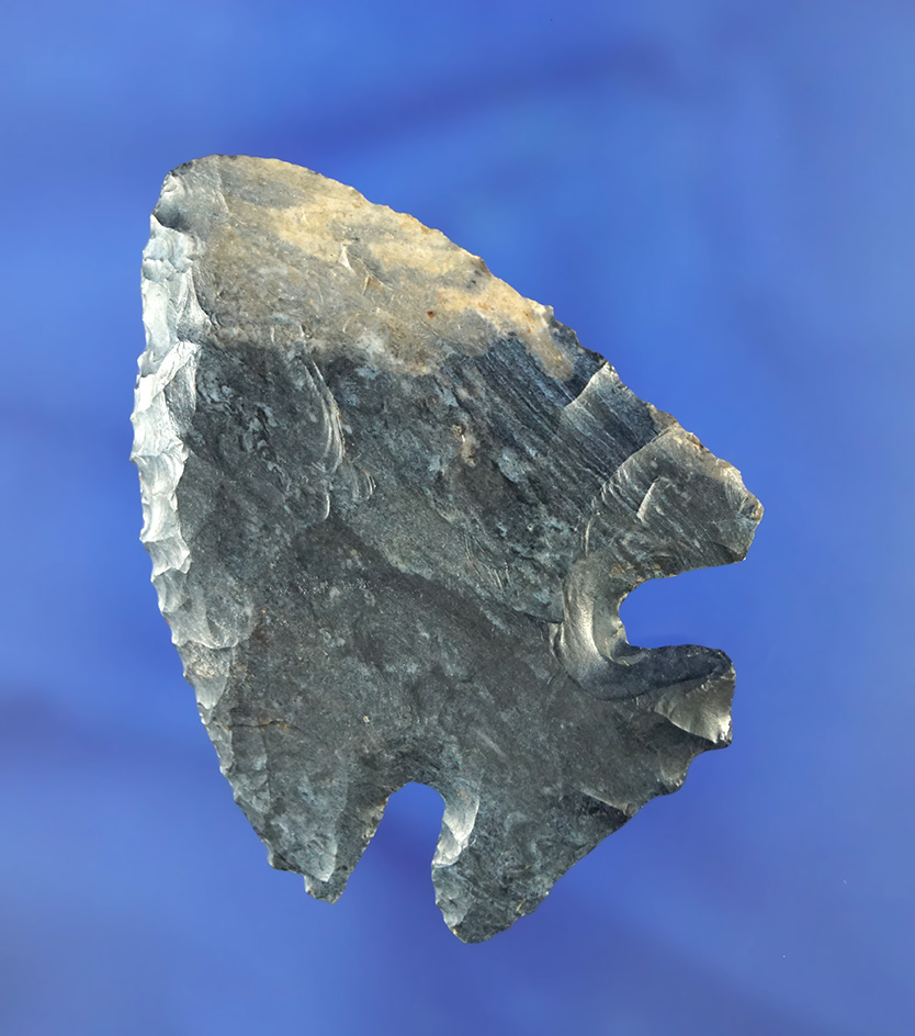 2 11/16" Thebes made from Boone Chert, found in Missouri. Comes with a Bennett COA.