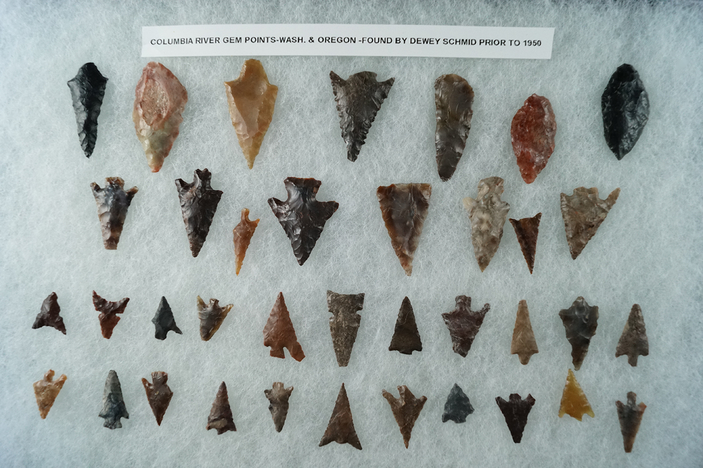 Group of approximately 37 Columbia River Gempoints found in Washington and Oregon by D. Schmid.