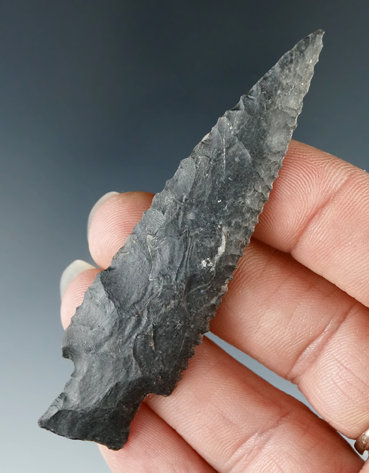 Ex. Museum! 2 15/16" Darl found in Texas.