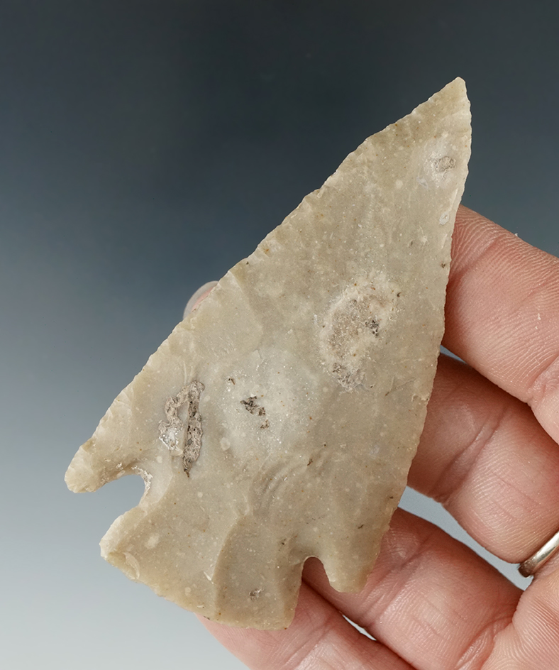 Ex. Museum! Excellent style on this well flaked 3 1/16" Castroville found in Texas.