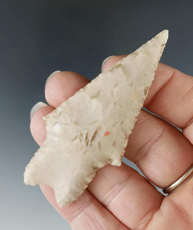 Ex. Museum! 2 13/16" Pedernales point that is nicely flaked, found in Texas.