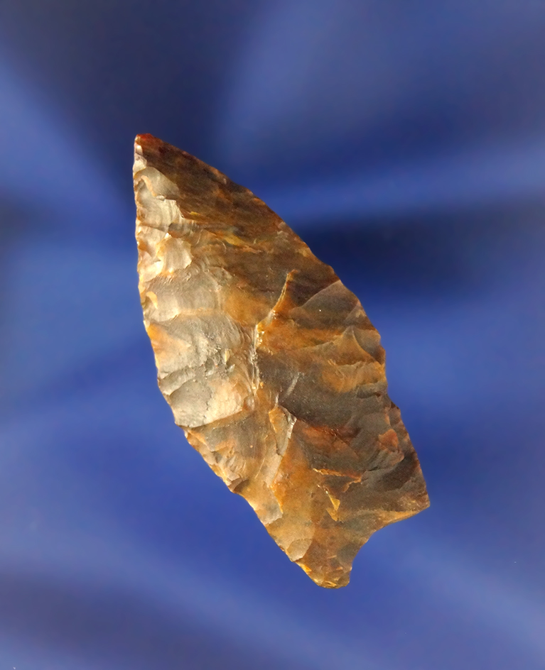 1 3/4" Bajada point made from Petrified Wood. very nicely flaked and excellent condition.