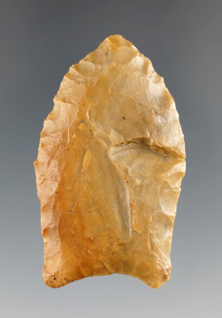 2" Paleo made from attractive material found in Kentucky.