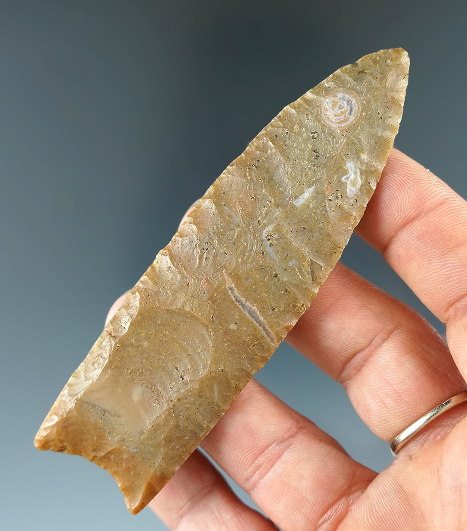3 3/4" Paolini Chert Paleo Fluted Clovis found in Christian Co., Kentucky. Comes with a Partain COA.