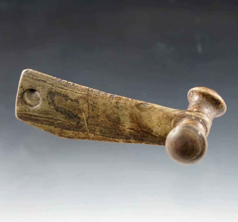 3 1/8" Long Salvage Birdstone which was drilled and turned into a pendant. New York. Ex. Savage.