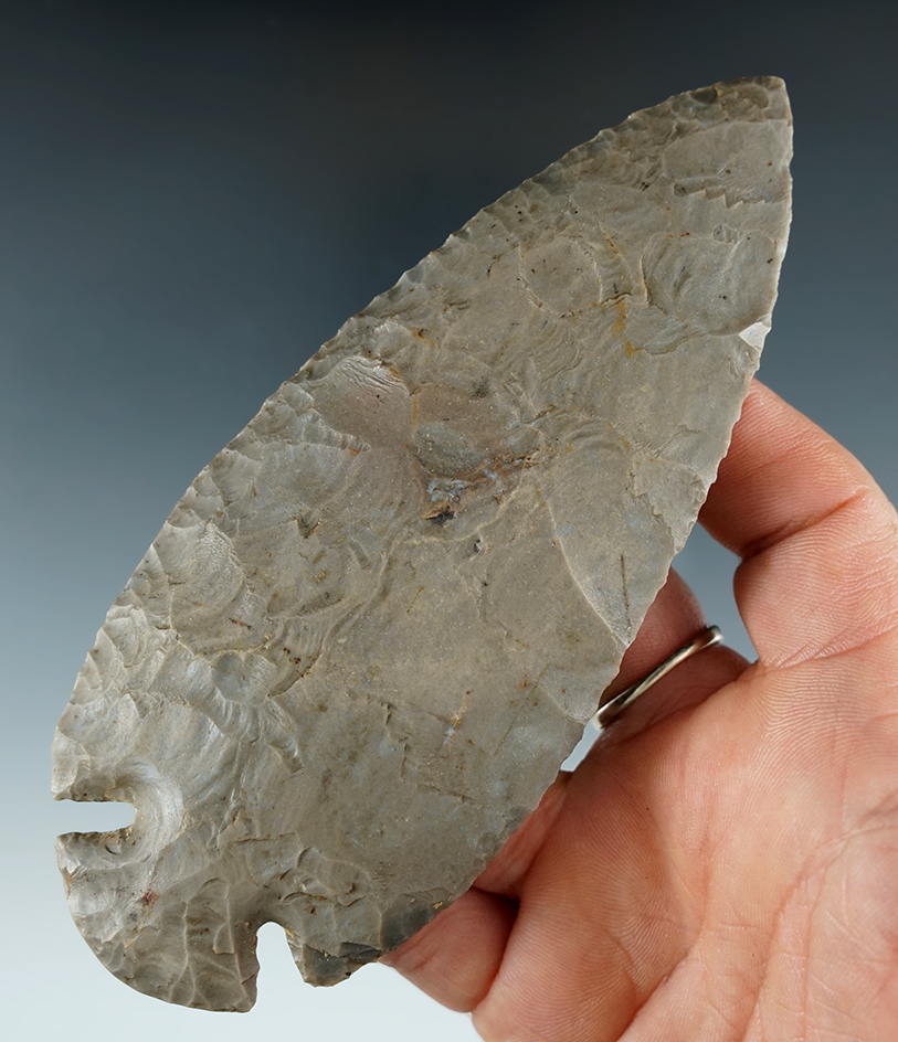 5 3/16" Hornstone Dovetail. Warwick Co., Indiana. Ex. Jon Dickinson, Kevin Sedgwick, Rowlands.