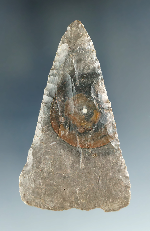 Nicely flaked and well patinated 2 7/8" Fort Ancient Knife with a nice bulls-eye, Kentucky.