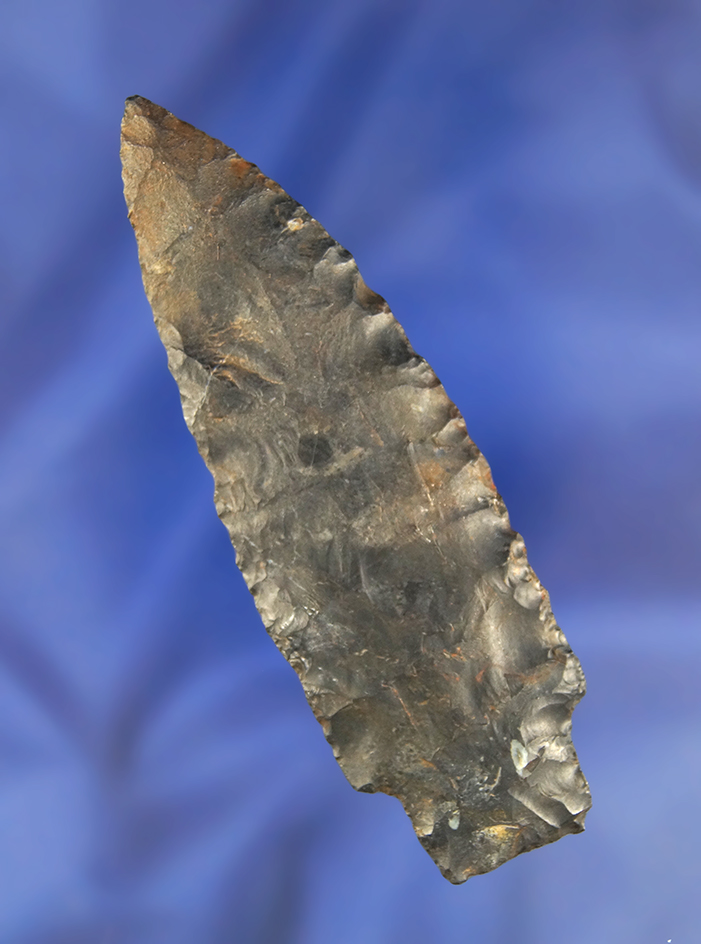 Well flaked and thin 3 5/8" Paleo Stemmed Lanceolate found in Tuscarawas Co., Ohio.  Coshocton Flint