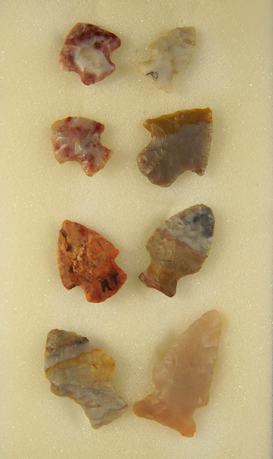 Set of 8 colorful Arrowheads found in western Ohio. Ex. Ron Thiebeau Collection. Largest is 1 5/8".