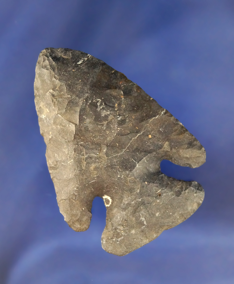 2 9/16" Coshocton Flint Thebes Bevel found in Seneca Co., Ohio.  Comes with a Bennett COA.