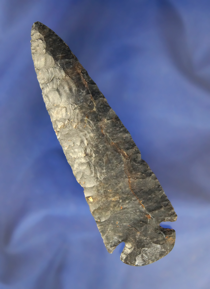 4 5/8" Very Fine Coshocton Dovetail found in Franklin Co., Ohio.  Ex. Stan Copeland.