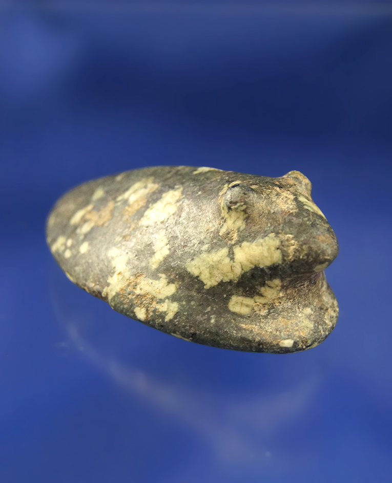 2 9/16" porphyry Popeye Birdstone, drilling spotted but not started. Found in Greene County Ohio.