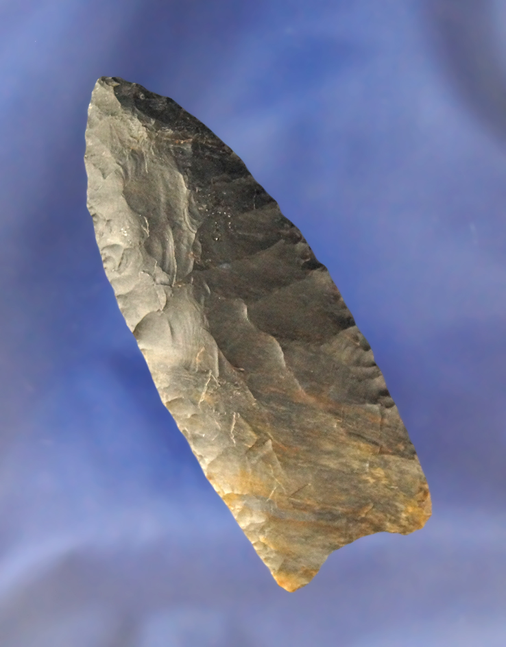 3 1/8" Coshocton Two-tone Paleo Clovis with exceptional flutes, found in Coshocton Co., Ohio.