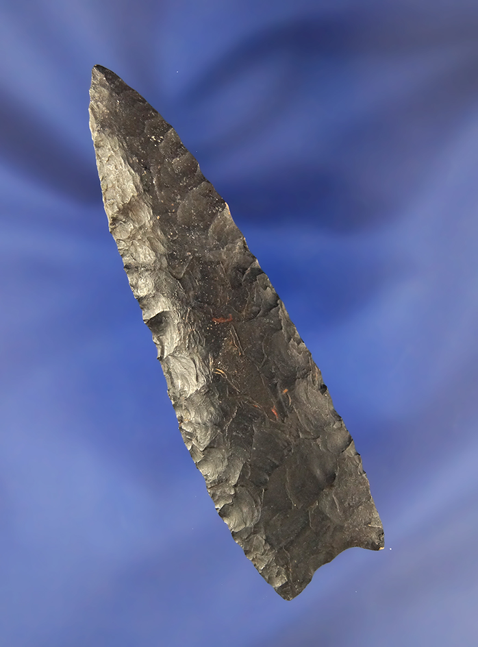 3 7/16" Coshocton Flint Paleo Lanceolate with restoration to 3/4" of the tip.