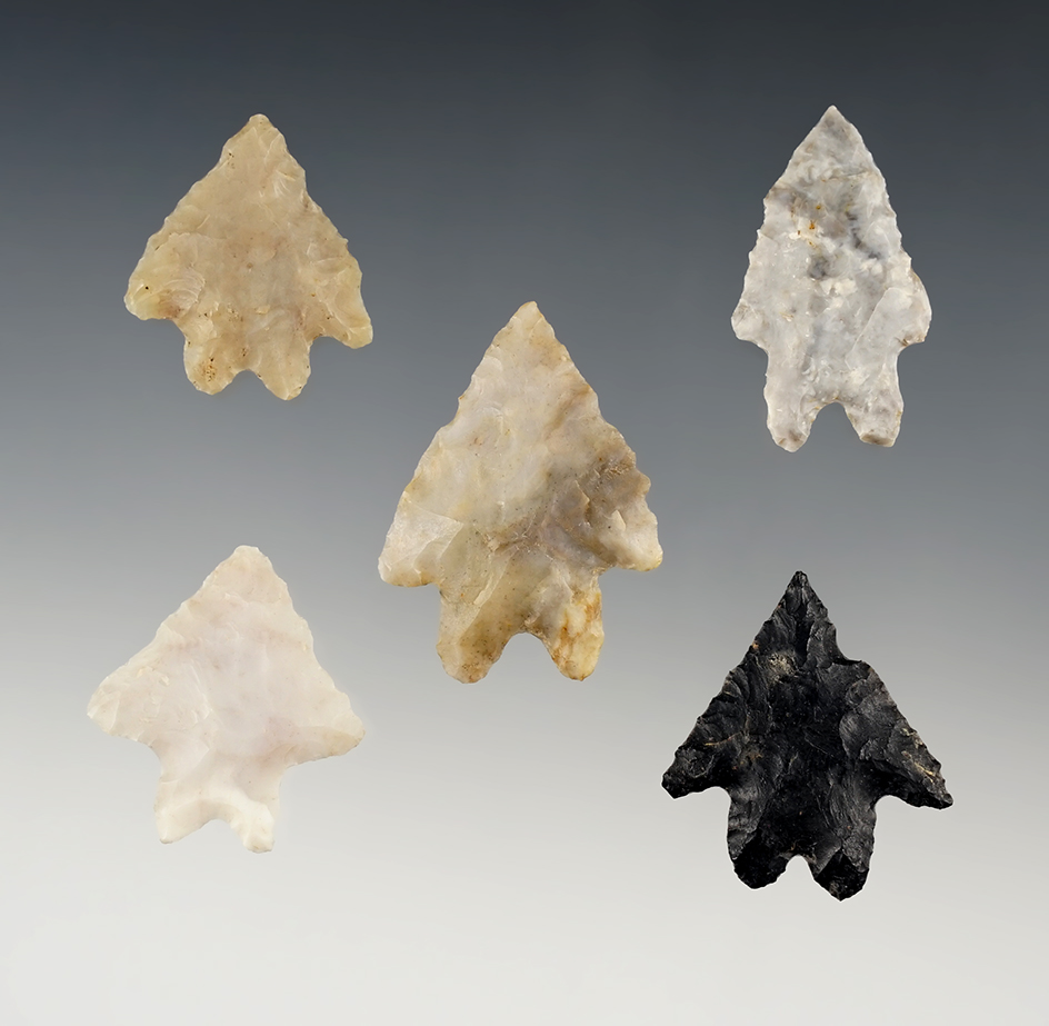 Set of 5 very fine Ohio Bifurcates in excellent condition. The largest is 1 7/16".