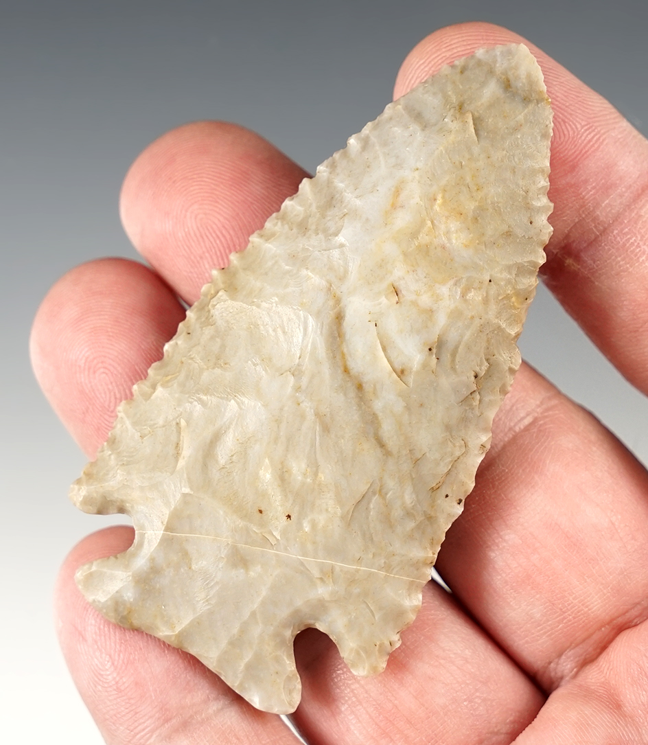 2 7/8" Coshocton gray serrated Archaic Stilwell, nicely made. Found in Madison Co., Ohio.