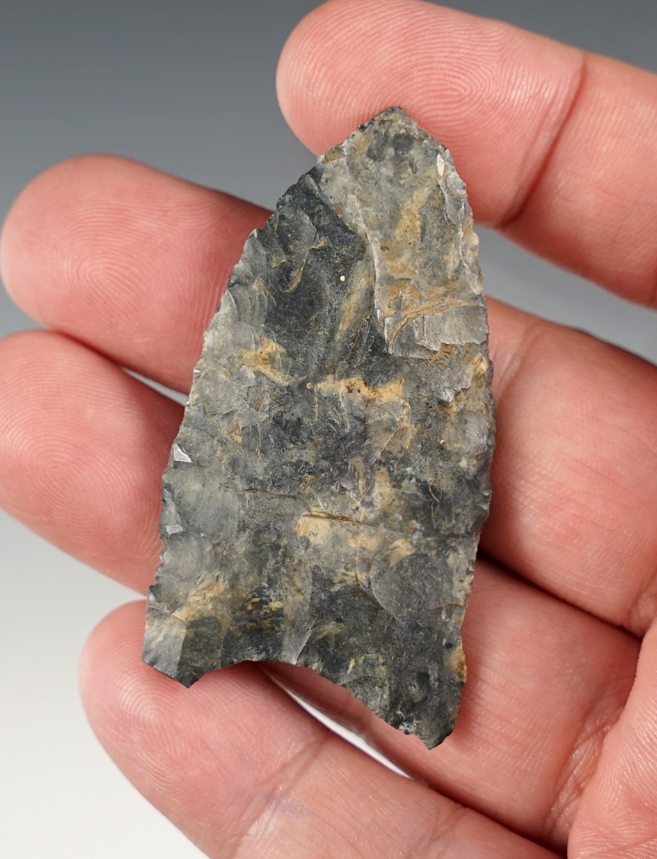 2 3/8" Paleo Dart point found in Jackson Township, Allen Co., Ohio.