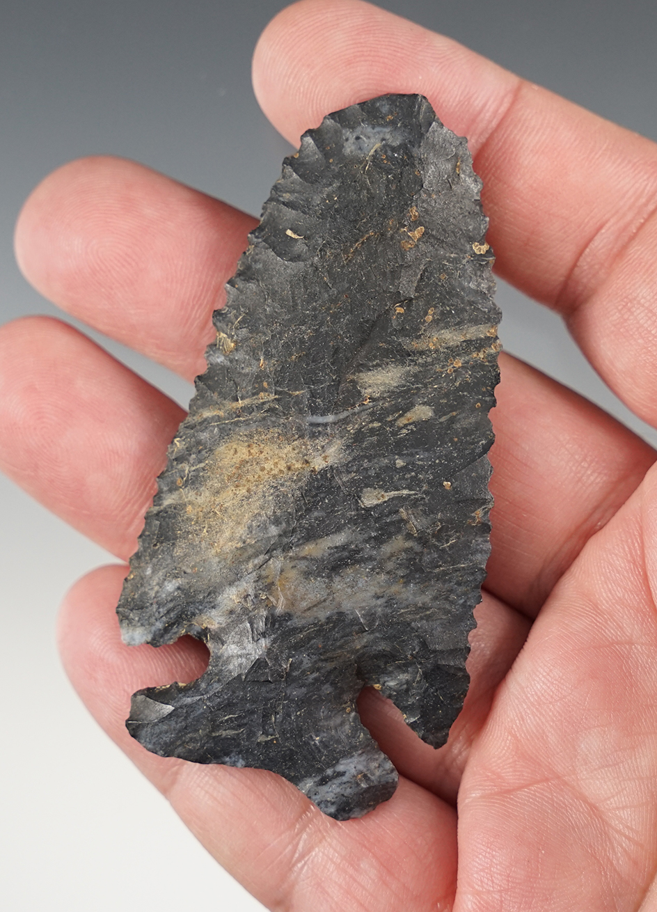 Nicely serrated 3 1/8" Archaic Thebes point found in Van Buren Township, Hancock Co., Ohio. 