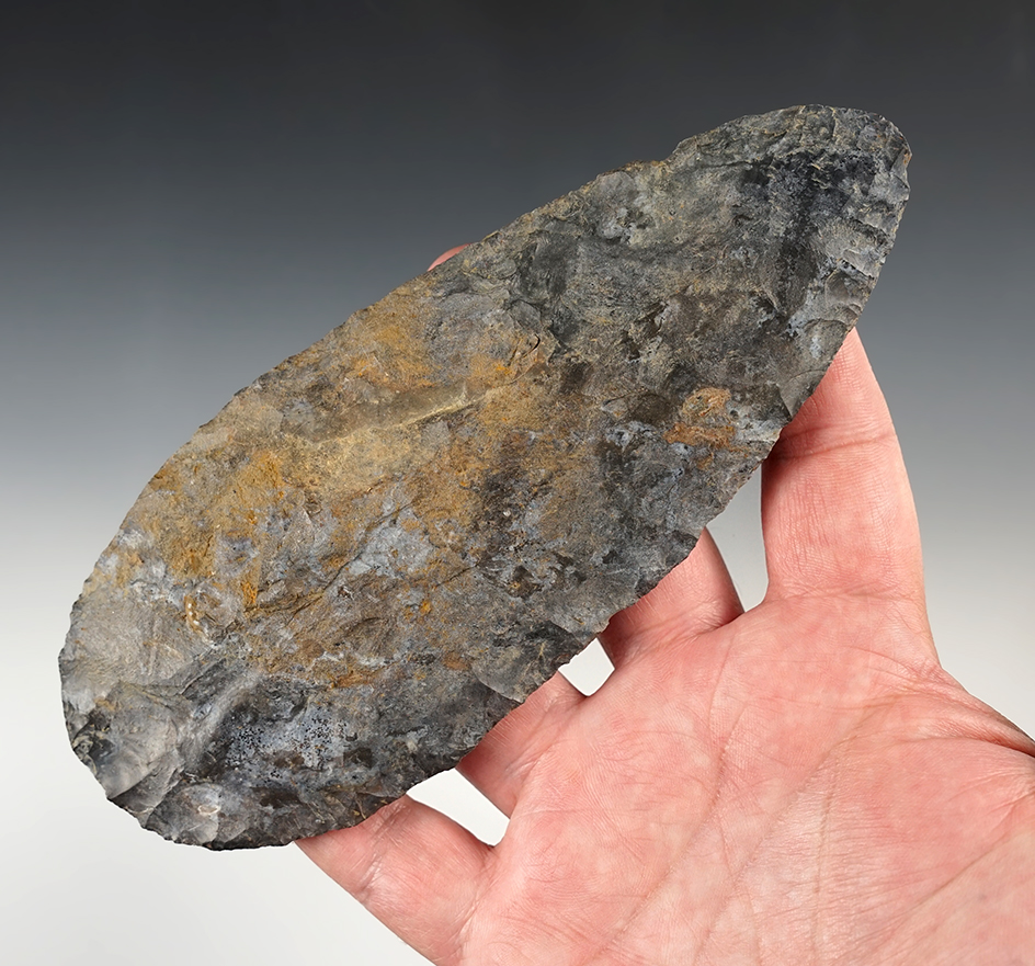 Superb! 6 3/4" Adena Cache Blade found in Ohio. Finely made from Coshocton flint.