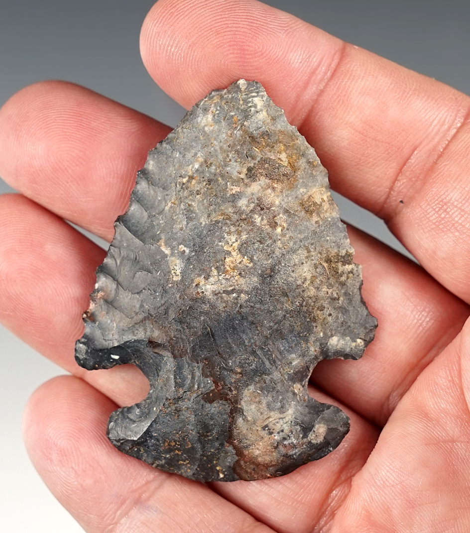 2 5/16" Dovetail found in Monroe Township, Allen Co., Ohio. Nicely patinated Coshocton flint.