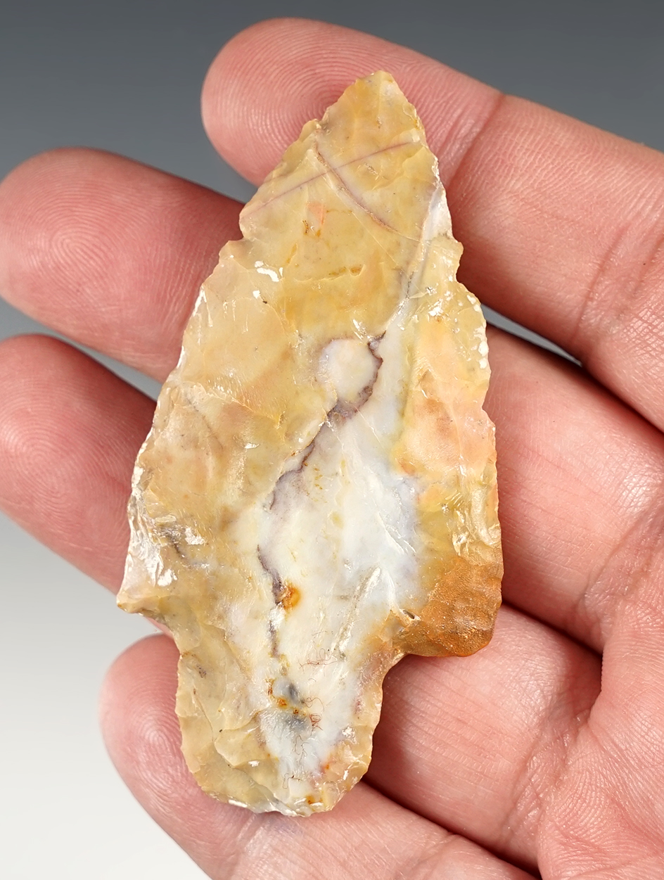 Great color on this 2 13/16" Flint Ridge Adena found in Wyandot Co., Ohio. 