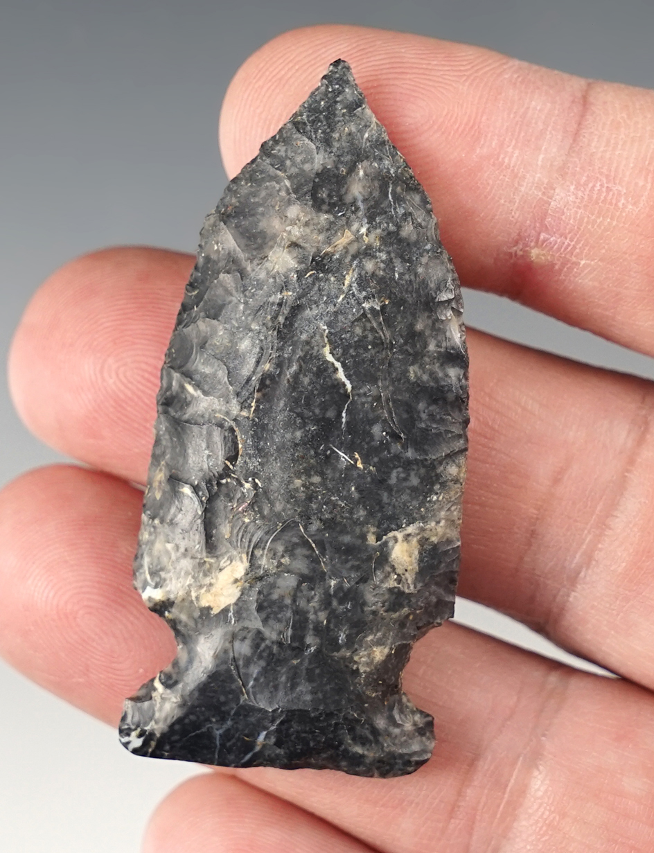2 3/16" Rare Archaic Pentagonal Side Notch Point with a nice needle tip - Ashland Co., Ohio.