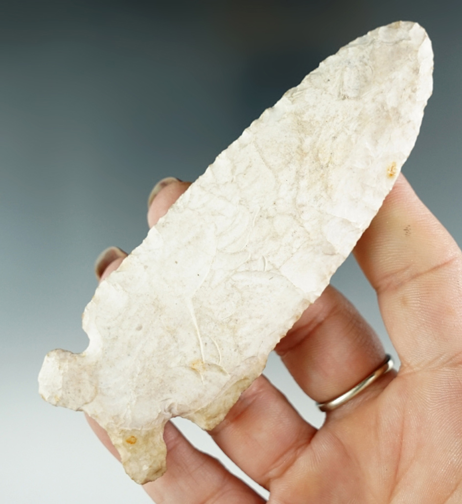 4 1/4" Graham Cave found in Lee Co., Iowa.