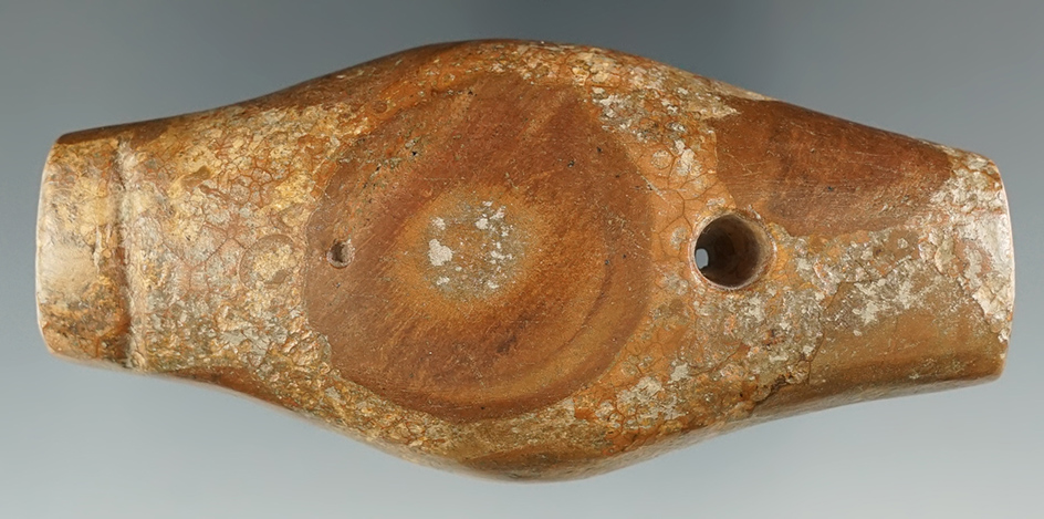 4" Expanded Center Gorget made from Petrified Coral, found in Scioto Co., Ohio. COA's.