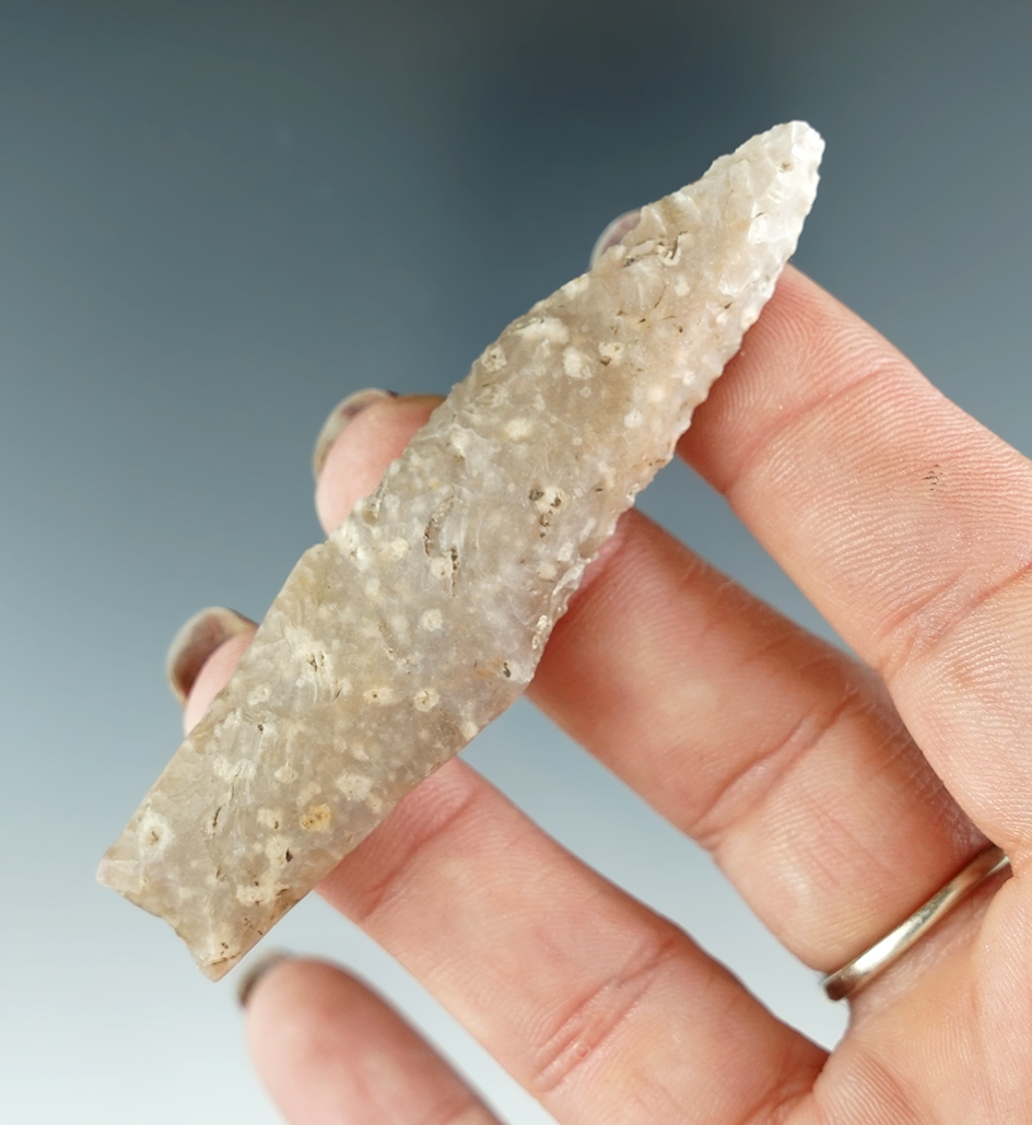 Nice! 3" Angostura with beveled blade edges and a well styled, heavily ground basal area. Texas.