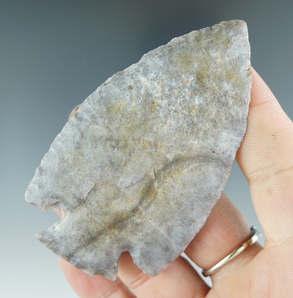 3 3/16" Lost Lake found near Apple River Bluffs near Elizabeth, Illinois. Davis COA.