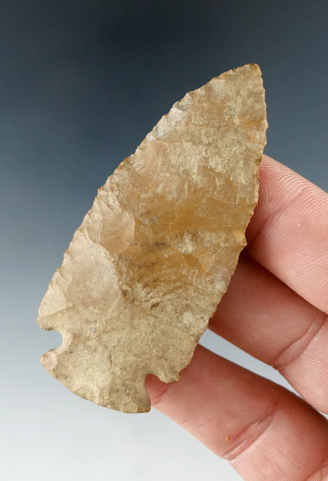 2 9/16" Dovetail found in Kentucky.