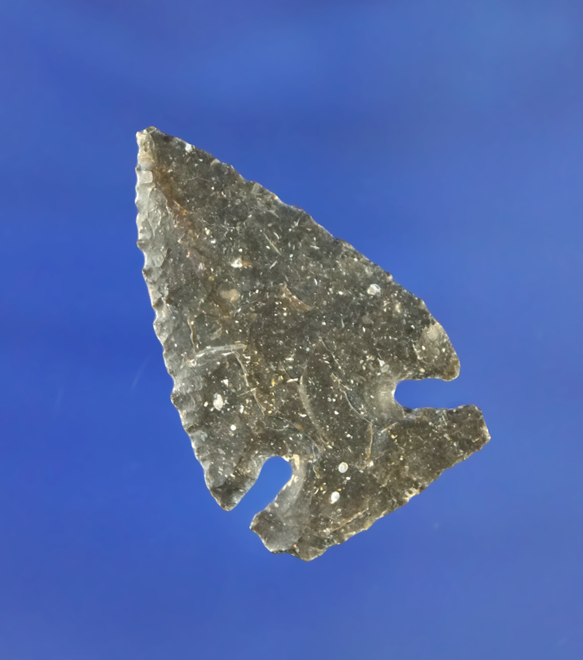 1 7/16" thin and very well made Intrusive Mound point found in Kentucky.