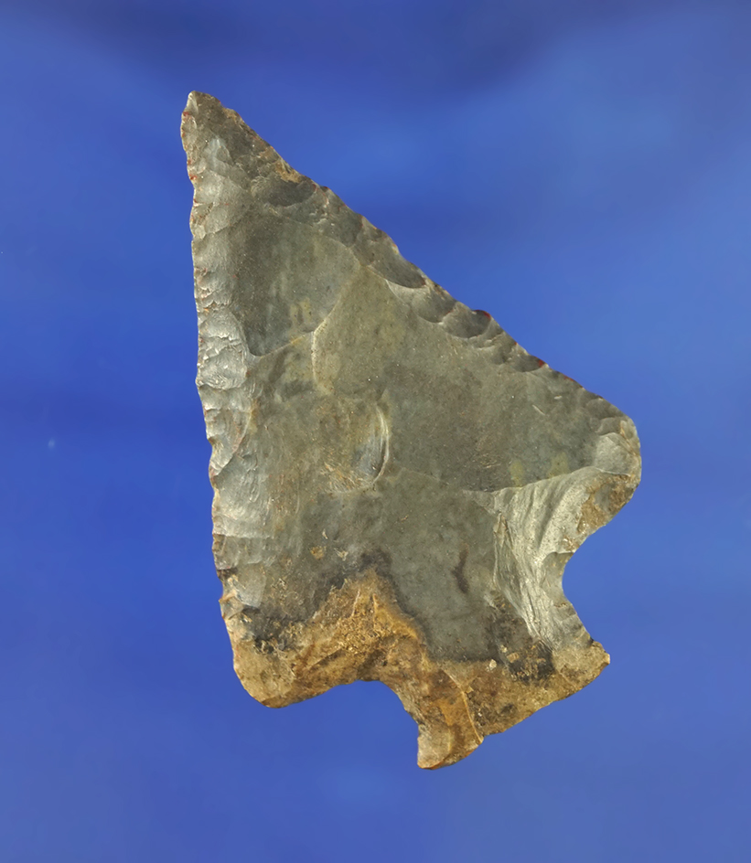 2 5/16" Cotaco Creek found in southern Kentucky.