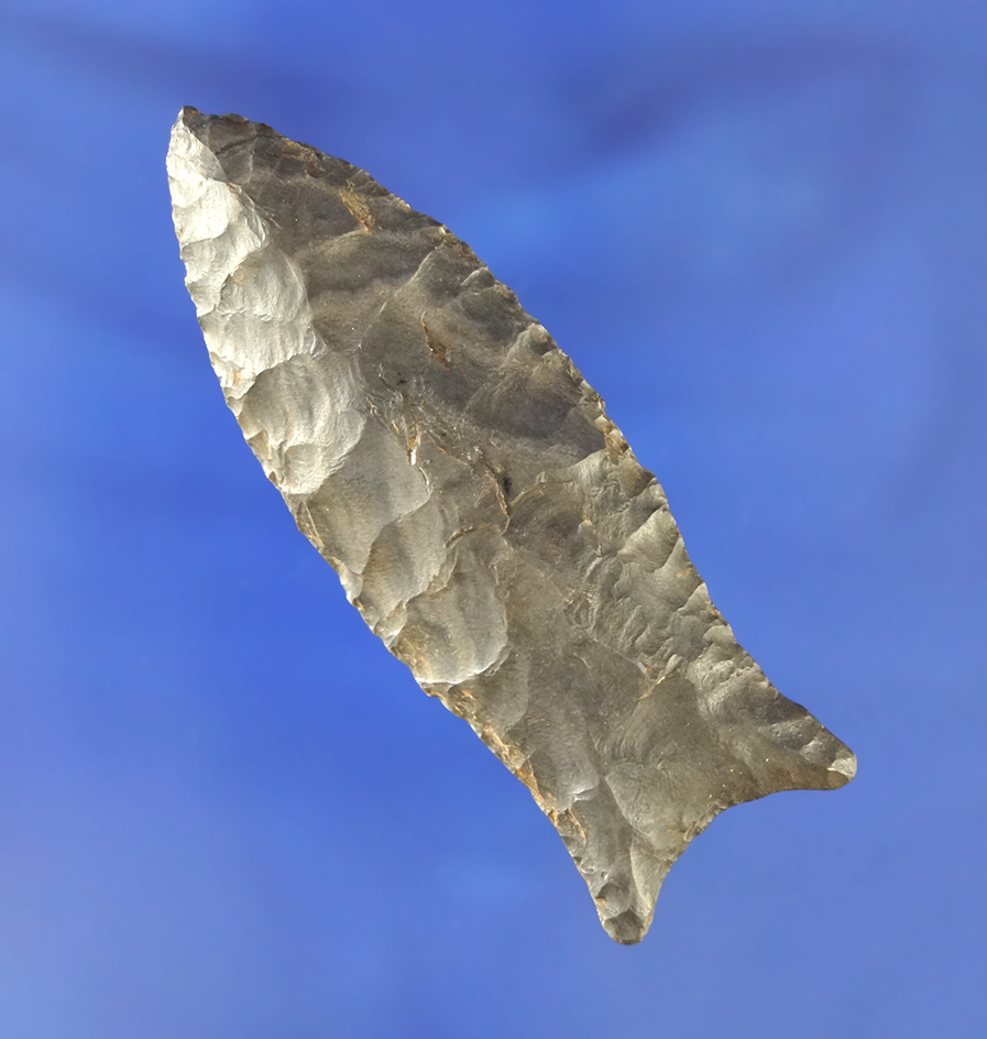 2 15/16" Paleo Beaver Lake with restoration to one basal ear. Found in Kentucky.