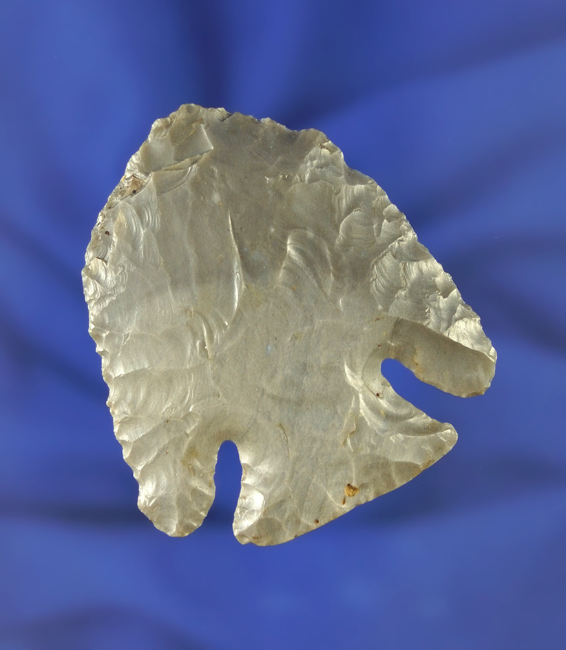 2" Hornstone Lost Lake found in Kentucky. Comes with a Davis COA.