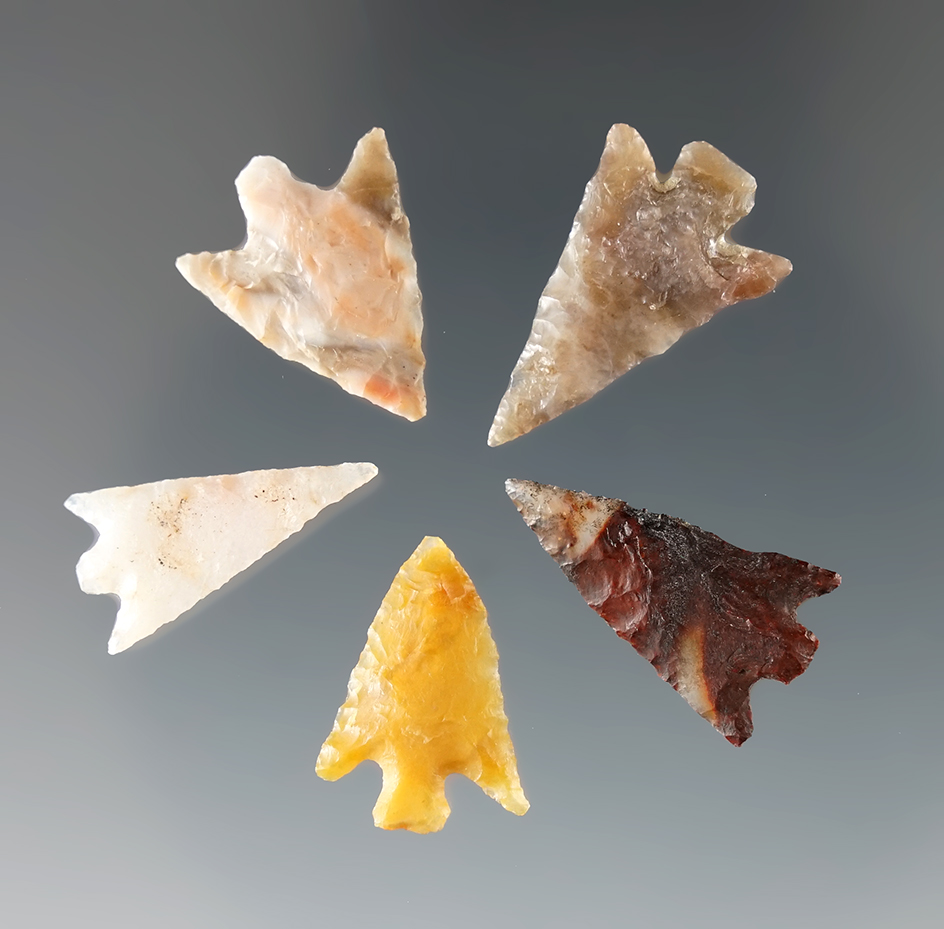 Set of five Columbia River Gem points, largest is 7/8".